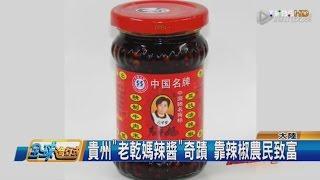 貴州"老乾媽辣醬"奇蹟 靠辣椒農民致富 全球進行式 20161126 (3/3)