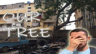 Our Tree is Worst Condition | Hammad Khatri