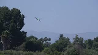 Koko's Carf Rebel Xicoy turbine jet flight 7-9-23