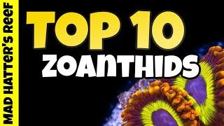 Top 10 Zoanthids For Your Reef Tank