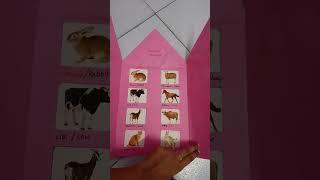 Domestic animals project for kids|AJ's kitchen tamil|#kidsprojects #project #animals #viralshorts