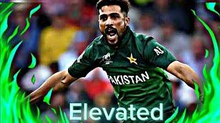 M.Amir X Elevated | Mohammad Amir Wickets 