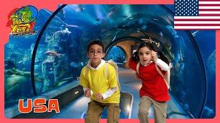  Hawaiian Submarine Ocean Tour & Aquarium Visits!  | How to Travel with Kids @travelkidsTVSHow