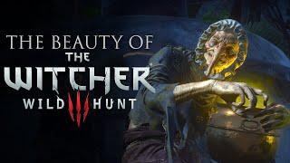 The Beauty of The Witcher 3: Land of a Thousand Fables | Nikattica