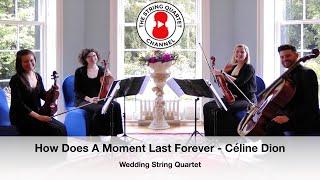 How Does A Moment Last Forever - Beauty And The Beast (Céline Dion) Wedding String Quartet