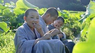 美食台 | 江西深山千年名寺，素齋獨樹一幟！