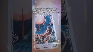 1212  YOU ARE THE STAR!! ⭐ #333 #tarot #fortune #fortunetelling