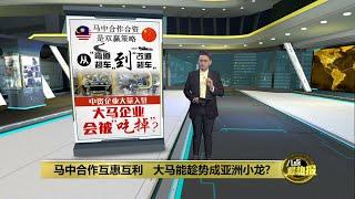 中资企业大量入驻   大马企业会被“吃掉”？  | 八点最热报 12/10/2024