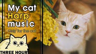 [MY CAT HARP MUSIC] 고양이가 좋아하는 음악 봄을 닮은 달달한 하프소리 (lullaby for a cat, ねこハーフおんがく)