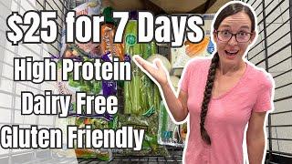 $25 for 7 Days | High Protein, Dairy Free, Low Sugar, and Naturally GF | Single Person Meal Plan