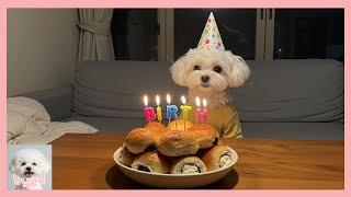 5월18일은 냠돌이의생일~!