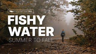 Fishy Water: Summer to Fall -- Where, When and How to Catch Trout in the Seasonal Transition