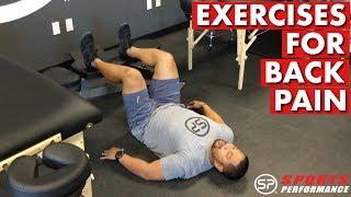 Great Exercises For Back Pain | Sports Performance Physical Therapy