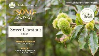 Sweet Chestnut Song