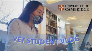 revising for finals, trying to stay sane | Cambridge University vet student vlog 14