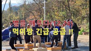 벌 깨우기""  24년 12 월24일  양봉초심자 필독 !!