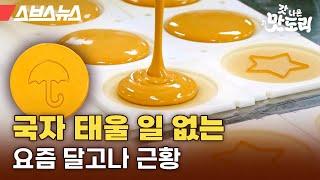 미국 코스트코까지 진출한 K-달고나 [갓 나온 맛도리 EP.47]