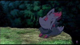 Zorua Meema Compilation