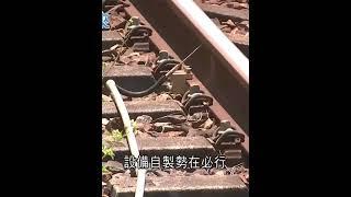 MIT硬實力發揮！台灣機械老廠蛻變「拿下美訂單」進軍軌道設備「技術全球前四強」｜94要賺錢