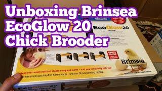 Unboxing Brinsea EcoGlow 20 Chick Brooder