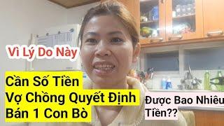 987# Cần Số Tiền Vợ Chồng Quyết Định Bán Con Bò Để Xoay Xở