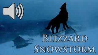  Blizzard Snowstorm With Distant Wolf Howling Sounds For Sleeping & Relaxation