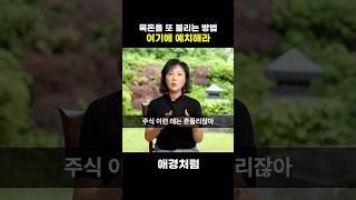 적금으로 만든 목돈 불리는 법 #적금 #목돈만들기 #예금 #채권