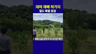 경찰, 대마 재배지 허가지 농가 등 마약류 특별 점검