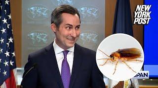 ‘Big’ cockroach crashes State Department press briefing, alarms spokesman in awkward scene