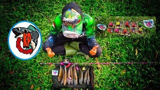 Pakai Soft Frog ini AUTO PANEN !!! Kumpai Lure || Lady Angler