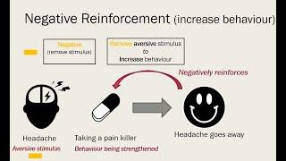 Negative Reinforcement vs Punishment