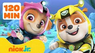 PAW Patrol Anywhere But Adventure Bay Rescues!  2 Hours | Nick Jr.