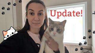 Costca Update