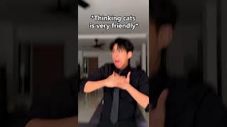 Cats literally breaks everything