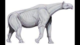 Oligocene period: Evolution of Modern mammalian's Ancestors (Part 20)