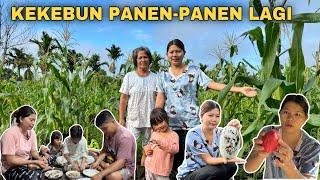 PANEN-PANEN LAGI DIKEBUN BERSAMA MAMA DAN MASAK KODOK KA CHIANG MA