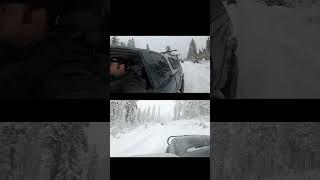 Uncle Toms Toy Drive almost Ruined by downed trees #offroad #overlanding #adventure #tacoma #snow