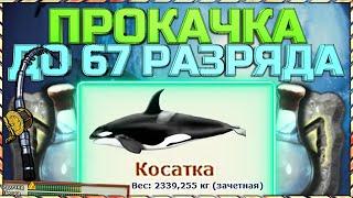 РР3 ПРОКАЧКА ОПЫТА НОВИЧКАМ ОТ 49 ДО 67 РАЗРЯДА