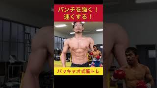 パンチを強く速くする！パッキャオ式筋トレ！ #shorts