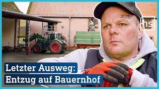 Ohne Therapeuten. Wie Arbeit auf dem Bauernhof gegen Drogensucht hilft | hessenschau