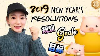 2019 NEW YEAR'S RESOLUTIONS | 给自己立个Flag | 闲聊