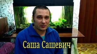 Как снимать видео на смартфон для ютуба