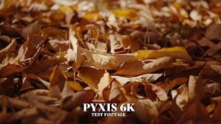 Cinematic Scenes of Fall | Shot on Blackmagic Pyxis 6k