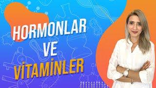 (10.DERS) HORMONLAR VE VİTAMİNLER |  TYT 9.SINIF l Seda Hoca Biyoloji 