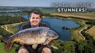 Full Film | Catching Stunners at Norton! |  Tom Maker | CineCarp TV