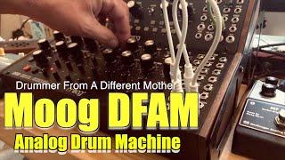 Moog DFAM Analaog Drum Patch and Improvisation Sequence and Rhythm Pattern