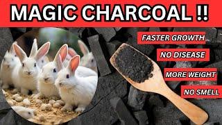 DON'T BUY RABBIT FEEDS MIX YOUR OWN, Harnessing the Power of Charcoal for Rabbit Faster Growth