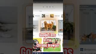 Google Lens in Chrome: Search Images Instantly! 