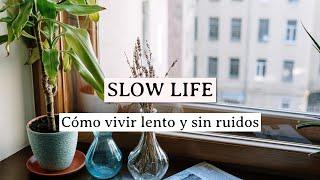 CÓMO VIVIR UNA VIDA SLOW Y TRANQUILA  | Charla sincera sobre los ruidos en mi vida | Silvia Ahora