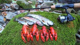 Mountain Stream Fishing for a Trout n' Crawfish Cookout!